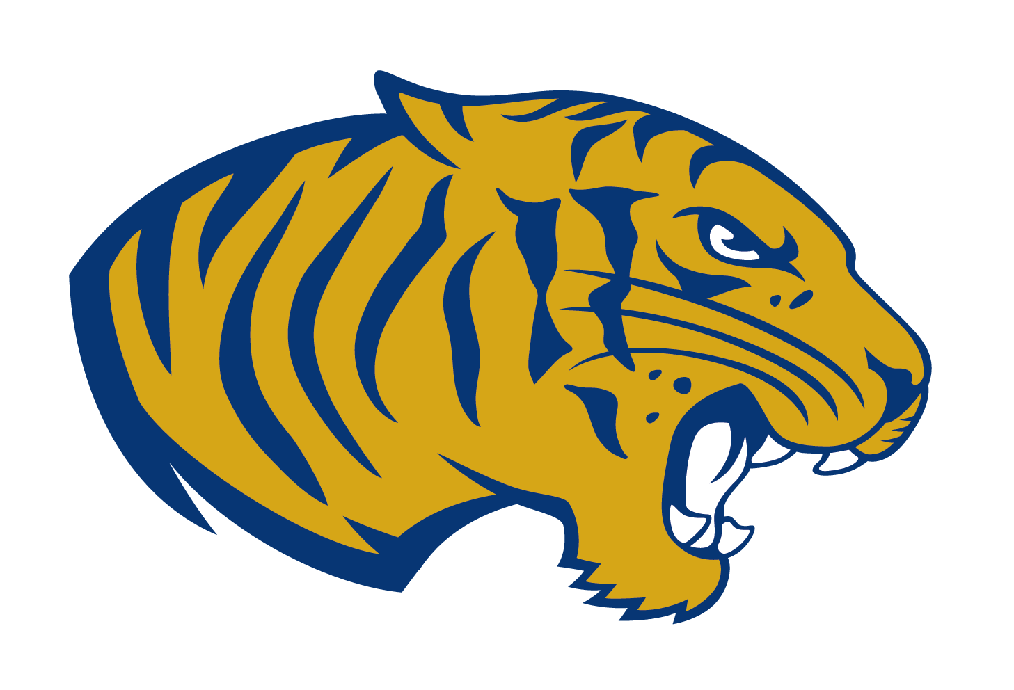 NYSPHSAA Honors Cohoes Spring Sports ScholarAthletes Cohoes City